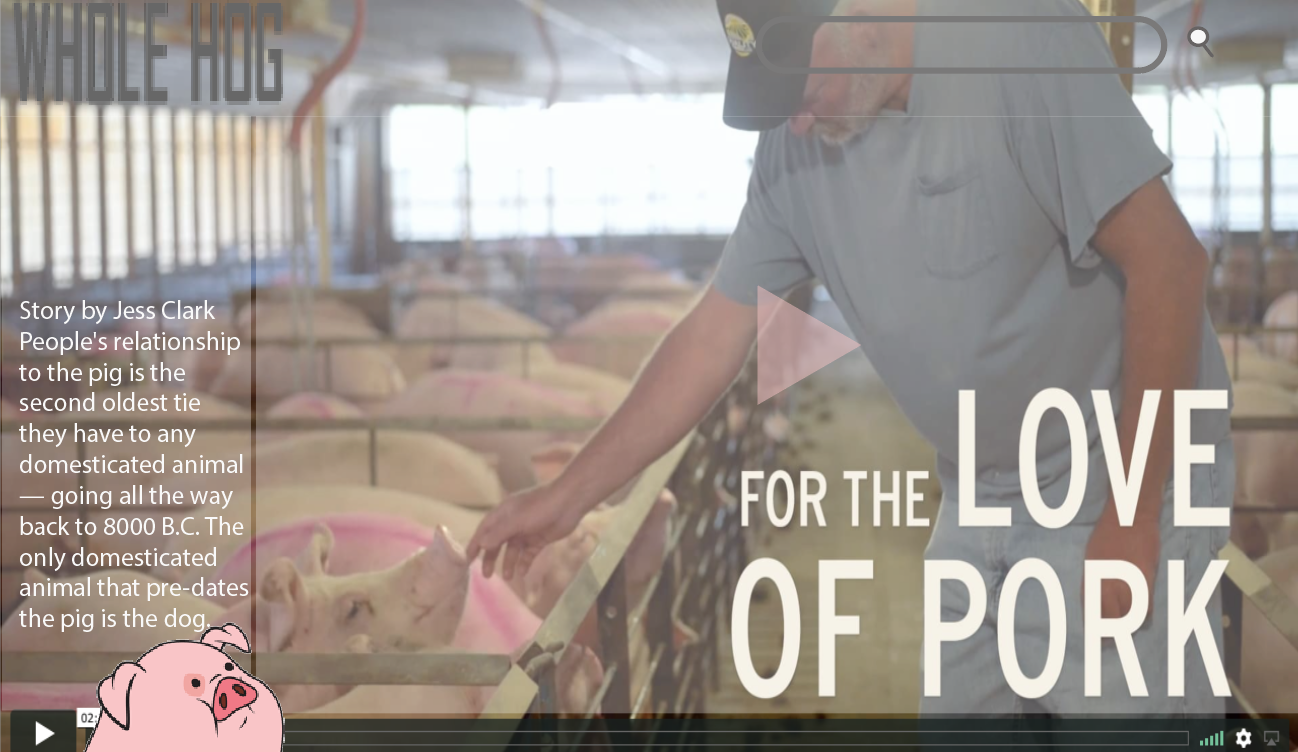 Screen Shot 2017-11-14 at 01.08.21